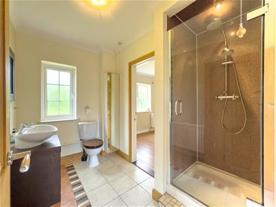 Picture 23